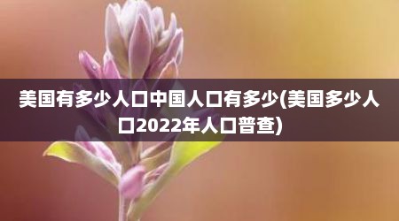 美国有多少人口中国人口有多少(美国多少人口2022年人口普查)
