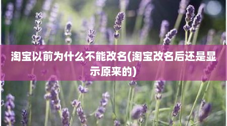 淘宝以前为什么不能改名(淘宝改名后还是显示原来的)