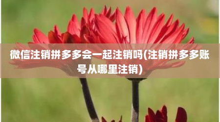 微信注销拼多多会一起注销吗(注销拼多多账号从哪里注销)