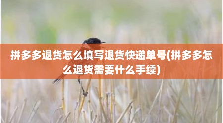 拼多多退货怎么填写退货快递单号(拼多多怎么退货需要什么手续)
