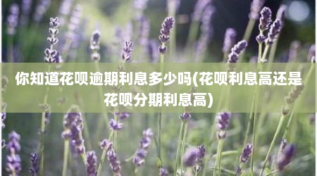 你知道花呗逾期利息多少吗(花呗利息高还是花呗分期利息高)