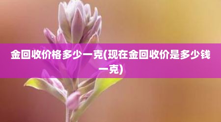 金回收价格多少一克(现在金回收价是多少钱一克)