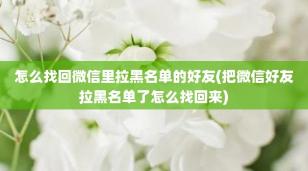 怎么找回微信里拉黑名单的好友(把微信好友拉黑名单了怎么找回来)
