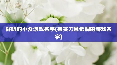 好听的小众游戏名字(有实力且低调的游戏名字)
