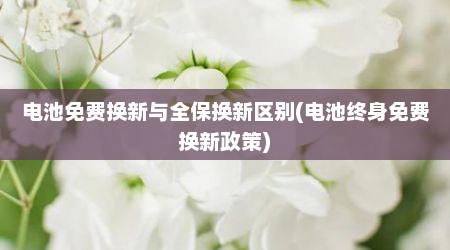 电池免费换新与全保换新区别(电池终身免费换新政策)