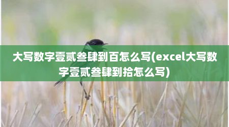 大写数字壹贰叁肆到百怎么写(excel大写数字壹贰叁肆到拾怎么写)