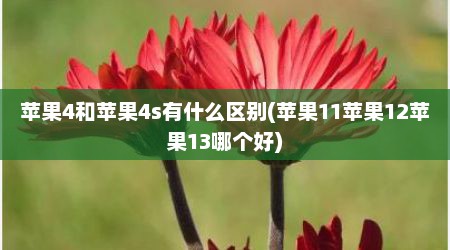 苹果4和苹果4s有什么区别(苹果11苹果12苹果13哪个好)