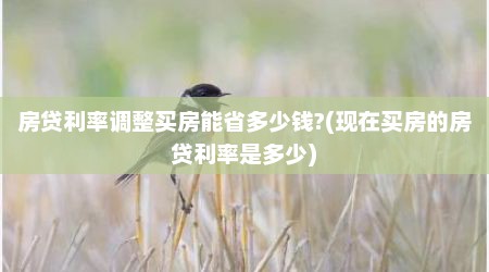 房贷利率调整买房能省多少钱?(现在买房的房贷利率是多少)