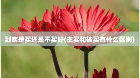 到底是买还是不买好(主买和被买有什么区别)
