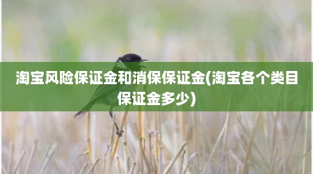 淘宝风险保证金和消保保证金(淘宝各个类目保证金多少)