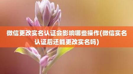 微信更改实名认证会影响哪些操作(微信实名认证后还能更改实名吗)