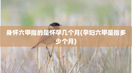 身怀六甲指的是怀孕几个月(孕妇六甲是指多少个月)