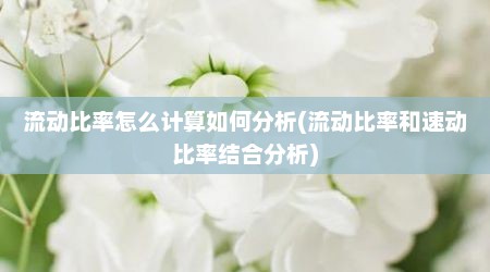 流动比率怎么计算如何分析(流动比率和速动比率结合分析)
