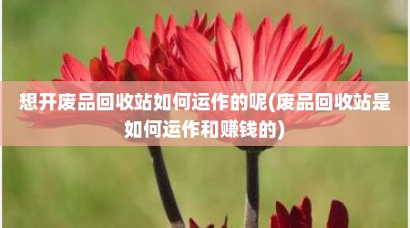 想开废品回收站如何运作的呢(废品回收站是如何运作和赚钱的)