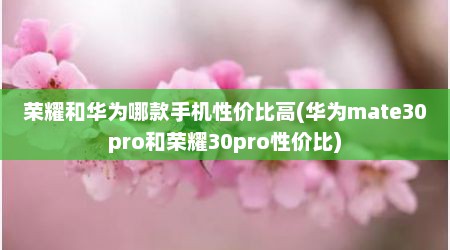 荣耀和华为哪款手机性价比高(华为mate30pro和荣耀30pro性价比)