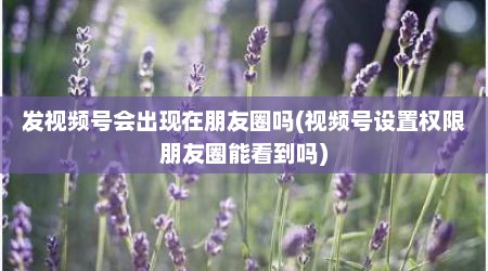 发视频号会出现在朋友圈吗(视频号设置权限朋友圈能看到吗)