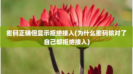 密码正确但显示拒绝接入(为什么密码输对了自己却拒绝接入)