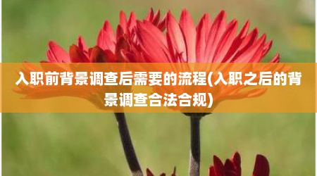 入职前背景调查后需要的流程(入职之后的背景调查合法合规)