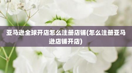 亚马逊全球开店怎么注册店铺(怎么注册亚马逊店铺开店)
