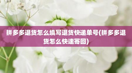 拼多多退货怎么填写退货快递单号(拼多多退货怎么快速寄回)