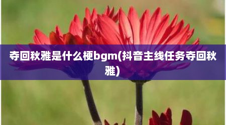 夺回秋雅是什么梗bgm(抖音主线任务夺回秋雅)