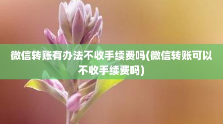 微信转账有办法不收手续费吗(微信转账可以不收手续费吗)