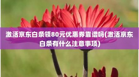 激活京东白条领80元优惠券靠谱吗(激活京东白条有什么注意事项)