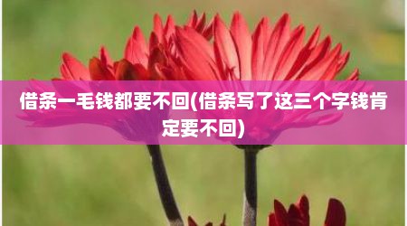 借条一毛钱都要不回(借条写了这三个字钱肯定要不回)