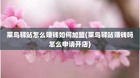 菜鸟驿站怎么赚钱如何加盟(菜鸟驿站赚钱吗怎么申请开店)