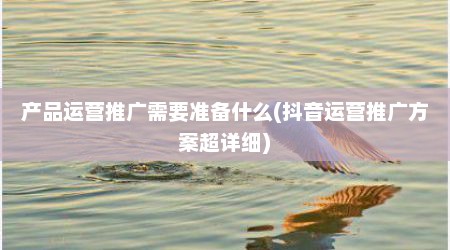 产品运营推广需要准备什么(抖音运营推广方案超详细)