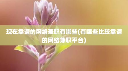 现在靠谱的网络兼职有哪些(有哪些比较靠谱的网络兼职平台)
