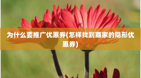 为什么要推广优惠券(怎样找到商家的隐形优惠券)