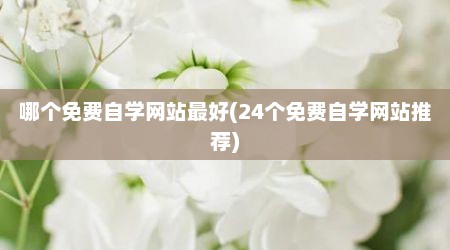 哪个免费自学网站最好(24个免费自学网站推荐)