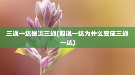 三通一达是哪三通(四通一达为什么变成三通一达)