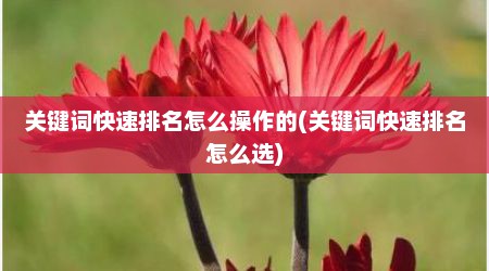 关键词快速排名怎么操作的(关键词快速排名怎么选)