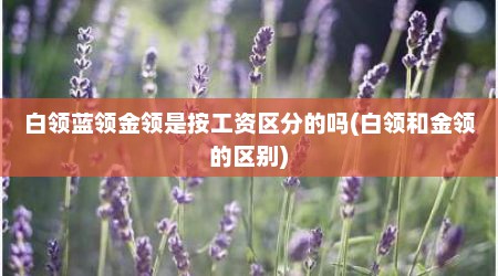 白领蓝领金领是按工资区分的吗(白领和金领的区别)