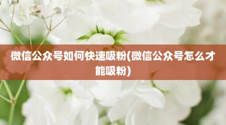 微信公众号如何快速吸粉(微信公众号怎么才能吸粉)