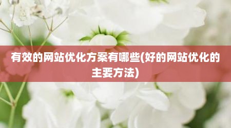 有效的网站优化方案有哪些(好的网站优化的主要方法)