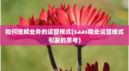 如何理解业务的运营模式(saas商业运营模式引发的思考)