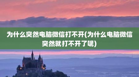 为什么突然电脑微信打不开(为什么电脑微信突然就打不开了呢)