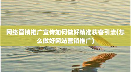 网络营销推广宣传如何做好精准获客引流(怎么做好网站营销推广)