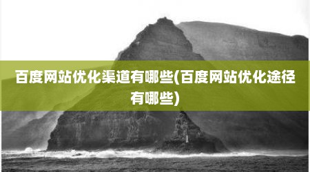 百度网站优化渠道有哪些(百度网站优化途径有哪些)