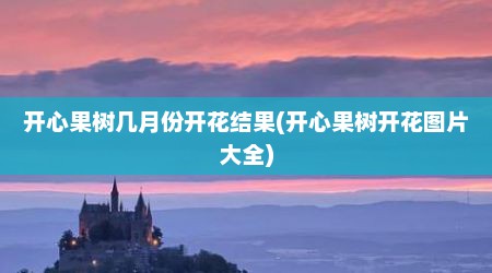 开心果树几月份开花结果(开心果树开花图片大全)