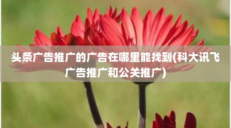 头条广告推广的广告在哪里能找到(科大讯飞广告推广和公关推广)
