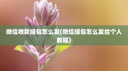 微信收款绿包怎么发(微信绿包怎么发给个人教程)