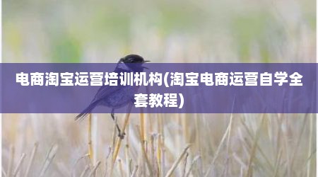 电商淘宝运营培训机构(淘宝电商运营自学全套教程)