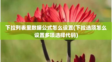 下拉列表里数据公式怎么设置(下拉选项怎么设置多项选择代码)