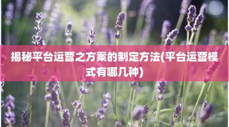揭秘平台运营之方案的制定方法(平台运营模式有哪几种)