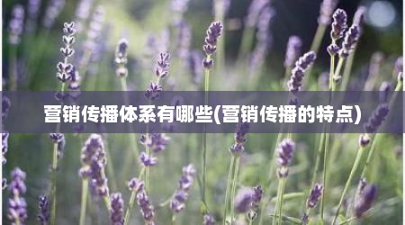 营销传播体系有哪些(营销传播的特点)
