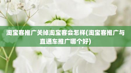 淘宝客推广关掉淘宝客会怎样(淘宝客推广与直通车推广哪个好)